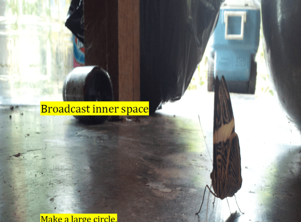 screen-shot-2016-10-10-at-11-27-12-pm